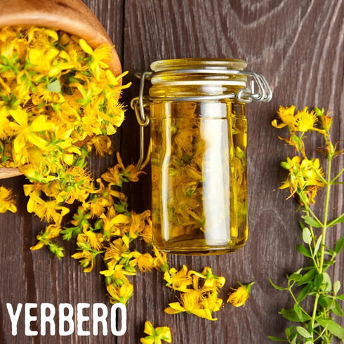 Yerbero St John's Wort Herbal Loose Tea, 2oz (56g) Cut & Sifted, Premium Quality All Natural Tea, non-GMO