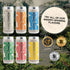 12 Pack (8.4 Oz Strongwater Sparkling Grapefruit Soda - Cans Fl Each) - Premium Craft Cocktail Mixer Made with Rocky