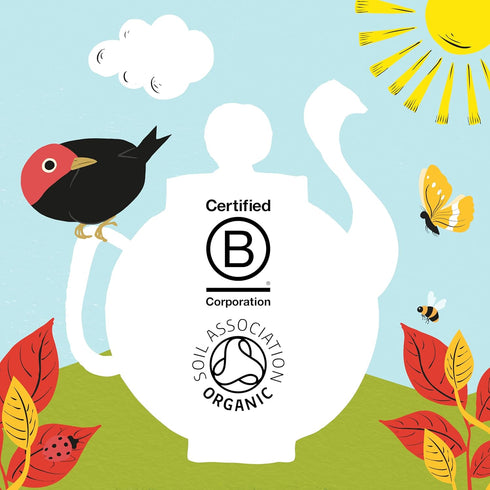 Clipper Tea Organic Fairtrade English Breakfast, Big Ben - USDA Organic, Non-GMO, Fair Trade, Sustainable Caffeinated