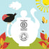 Clipper Tea Organic Fairtrade English Breakfast, Big Ben - USDA Organic, Non-GMO, Fair Trade, Sustainable Caffeinated