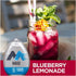 1.62 Oz Pack) Mio Citrus-Berry Refresh Collection - Fl Each (Variety