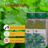 2x14oz (2x400g) pack 2 Monayiti Epis Haitian Style Seasoning
