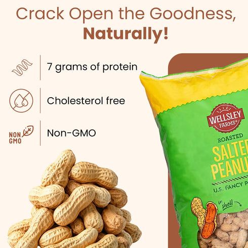 Wellsley Farms 5 lb Salted Roasted Peanuts In Shell, USA Grown Whole, Non-GMO, Gluten-Free, Vegan, Cholesterol-Free