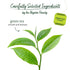 Bigelow Tea Classic Green Tea, Caffeinated, 20 Total Tea Bags (Pack of 1)