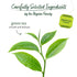 20 Count (Pack 6), 120 Bigelow Tea Classic Green Tea, Caffeinated Tea, Box of Total Tea Bags