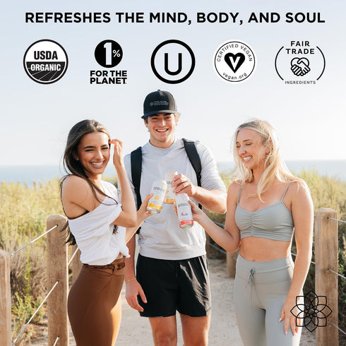 (12 Pack) 65mg 90 12 16 oz (473mL) Steaz - Organic Green Tea - Superfruit - Antioxidant Brew - Natural Caffeine