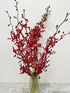 10 Stems of Fresh Red Ascocenda Orchids - Elegant Gift Flowers