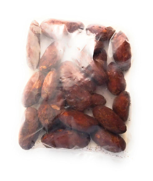 7-Pack 1oz Packages) Jungle Cat Cacao (Seven of Belize Energy! Roasted Organic Cocoa Beans - Cacao Superfood - Low