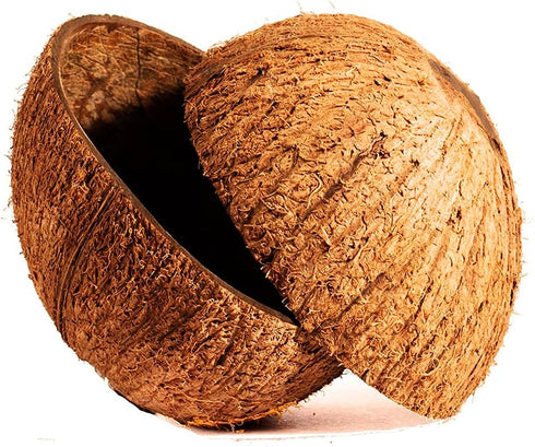 Natural Coconut Bowl Halves, 2 Pack for Handicraft, Pet Feeder, Candle Maker, Christmas & Halloween Decor