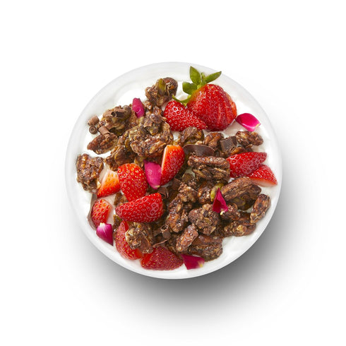 YOLEEZ 1g 10 TGB Chocolate Keto Granola | Net Carb Cereal | Gluten Free Low Carb Nut Snack, Ounces