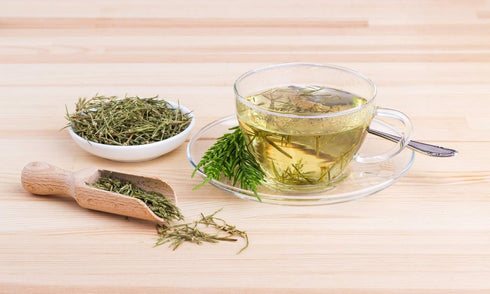 Health Embassy Horsetail Herb Tea - Equisetum Arvense L, Herbal Tea (100g)