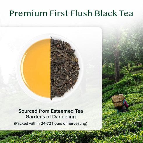 170+ (340g/12oz) Pack VAHDAM, First Flush Darjeeling Tea - Cups Loose Leaf Black Tea - Flowery, Aromatic & Delicious |