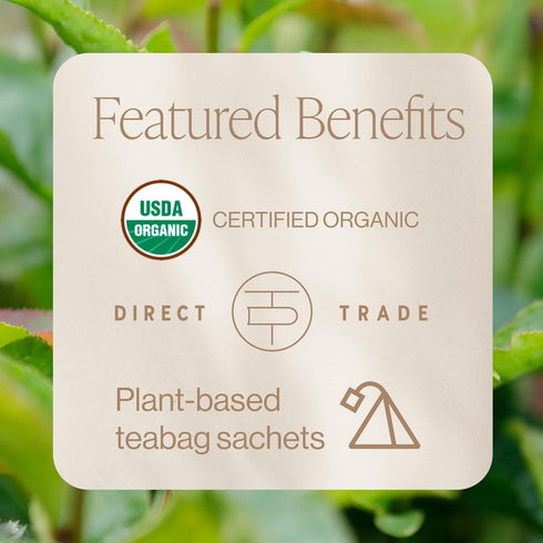 15 Count (Pack 1) Rishi Tea Ritual Green Tea - Organic Sachet Bags, Pure Green Tea, Energizing & Caffeinated