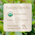 15 Count (Pack 1) Rishi Tea Ritual Green Tea - Organic Sachet Bags, Pure Green Tea, Energizing & Caffeinated