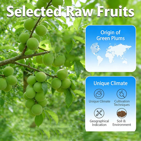 4OZ Salty Sweet Sour Dried Preserved Plums Seedless Dried Plum Meat Snack Made from Fresh Plums, Soft Plum Meat