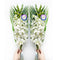 Sunne Tropical OrchidClub USA Fresh Cut Flowers Dendrobium Orchids (10 Stems WHITE)