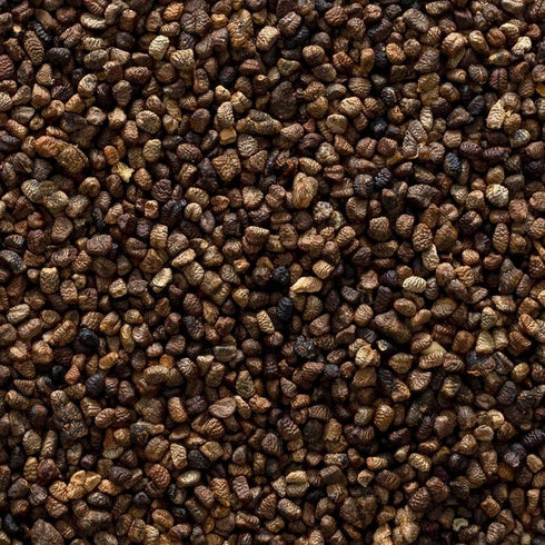16 Frontier Cardamom Seed, Decorticated (no Pods), Whole, Extract Fancy Grade, Ounce Bag