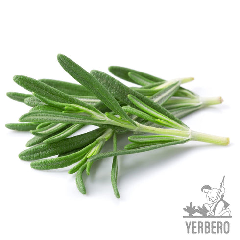 2oz (58gr) 30+ Nature100% Yerbero - Premium Loose Whole Rosemary Dried Leaves Tea | Hoja De Romero Te Herbal | Makes