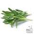 2oz (58gr) 30+ Nature100% Yerbero - Premium Loose Whole Rosemary Dried Leaves Tea | Hoja De Romero Te Herbal | Makes