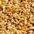9 Packaged (3 Minimalist Grain Flour, Perfect for Baking and Cooking, in a Refillable Bag Pound)