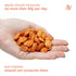60% (1 LB) Arashan Apricots Seeds - Dried Sweet Raw Apricot Seeds, Natural| BEST Raw & Sweet Apricot Kernels, Directly