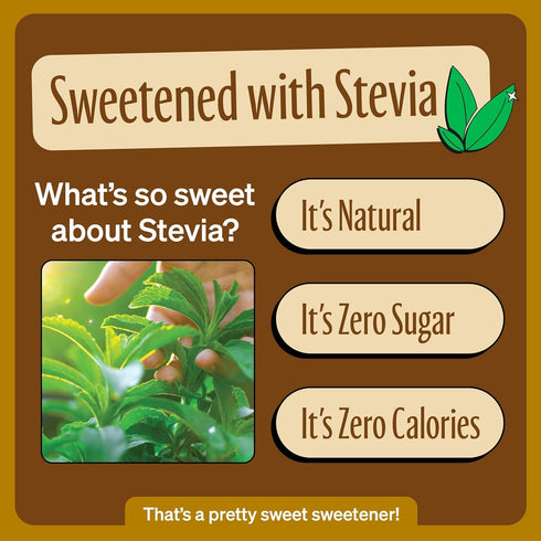 KD Chocolates 12 (Pack 6) Zeviia Zero Calorie Soda, Creamy Root Beer, Ounce Cans