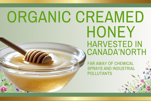 KB & DIA 500g Organic Creamed Honey, Pure White