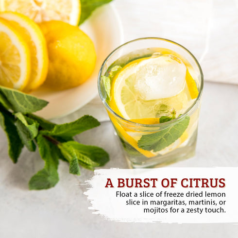 52USA 3oz (85g), Freeze Dried Lemon Slices, Dehydrated Lemon Slices for Teas, Infused Water, All Natural, No Additives