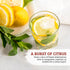 52USA 3oz (85g), Freeze Dried Lemon Slices, Dehydrated Lemon Slices for Teas, Infused Water, All Natural, No Additives