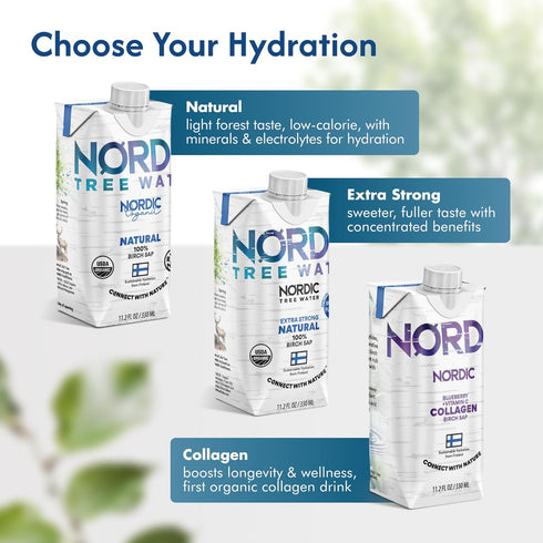 (Pack 12) Regenerative Organic Certified Birch Tree Sap Electrolytes, Minerals, Prebiotics & Vitamins, Finland Wild