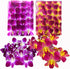 Miami Fresh Orchid Flower OrchidClub USA Sunne Tropical Loose Bloom DIY Lei,