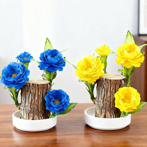 Generic (1, Brazil Wood Plant,Brazilian Lucky Plant,Home and Office Decoration, Desktop Plants,Housewarming Gift