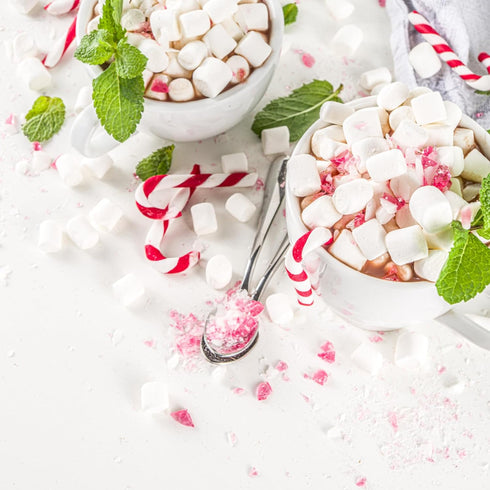 STEPHEN'S 4 lb Stephens Gourmet Candy Cane Hot Cocoa Mix Milk Chocolate Cocoa with Real Peppermint Candy Cane, Canister