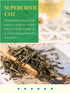 16 GLDNT Organic Decaf Green Tea, Organic Decaffeinated Green Tea Loose leaf, Delicate & Smooth Flavor, Hot & Iced Tea