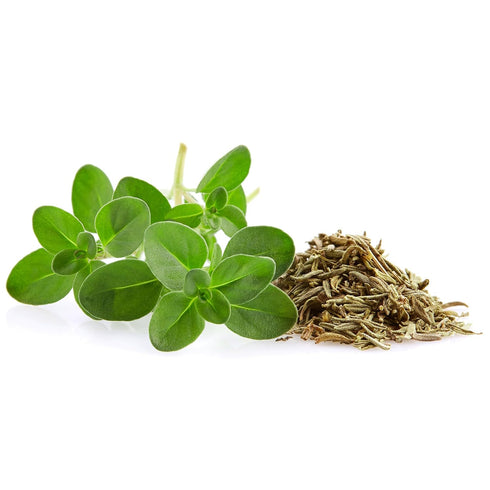 Birch & Meadow Fancy Cut Thyme Leaves, 3.8 oz, Aromatic and Traditional
