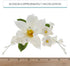 1 Count Global Sugar Art Cattleya Orchid Sugar Cake Flowers Arched Spray, White, by Chef Alan Tetreault