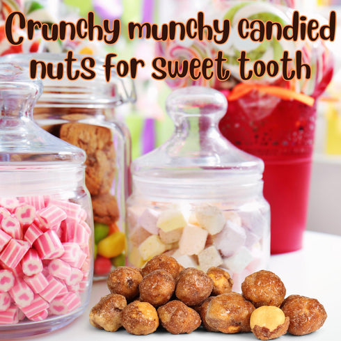 5 lbs Gourmet Toffee Coated Hazelnuts by Its Delish, Bulk Bag | Butter Flavored Candied Roasted Hazelnut Covered |