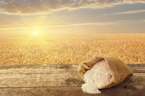 1.5 Food to Live Organic Oat Bran, Pounds Non-GMO, Kosher, Vegan, Bulk, High Fiber Hot Cereal, Milled from High Protein