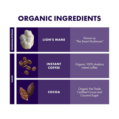 100% 10 Packets (10 Host Defense MycoBrew Mocha - Mocha Drink Mix - Includes Lion's Mane Mushroom - Drink Mix with Fair