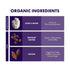 100% 10 Packets (10 Host Defense MycoBrew Mocha - Mocha Drink Mix - Includes Lion's Mane Mushroom - Drink Mix with Fair