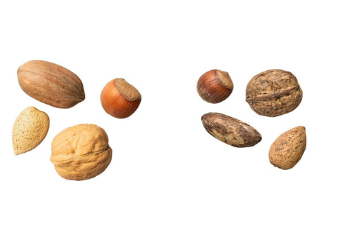 3 lb Nuts.com Mixed Nuts in Shell, No Brazil Nuts - Bag, Natural, Includes Walnuts, Hazelnuts, Pecans, Almonds