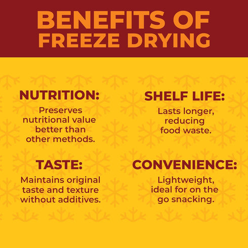 Pack (9.54 Oz), Pack, 0.53 Oz 18 Packs Zest Delites Freeze Dried Fruit Bulk Freeze Dried Strawberries, Bananas, Apple