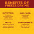 Pack (9.54 Oz), Pack, 0.53 Oz 18 Packs Zest Delites Freeze Dried Fruit Bulk Freeze Dried Strawberries, Bananas, Apple