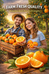 Generic 4 Count Fresh large Navel Oranges, Sweet, Juicy, Seedless Citrus Fruit, Perfect for Juicing & Snacking, Farm