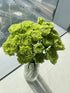 38 Green Carnation Flowers Hydroponic Flower Arrangement Mothers Day Gift Home Decor Birthday Anniversary Healing