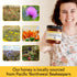 (20 Raw Wildflower Honey - Pure, Unadulterated, Clean, Grade A Strained Honey from the Pacific Northwest ounces)