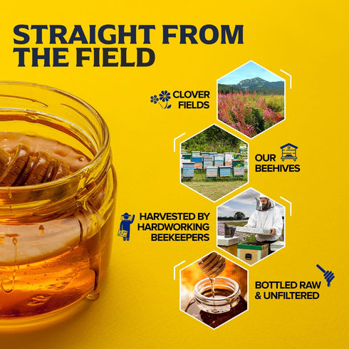 40 oz 100% Packed Fischer's Pure Clover Honey Pure, Raw and Unfiltered Honey in a Squeeze Bottle All-Natural Sweetener
