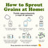 10 Food to Live Organic Soft White Wheat Berries, Pounds Premium Non-GMO Whole Grain Wheat for Milling, Sprouting