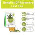 40 1.5g/bag Samcci - Rosemary Tea, Teabags, - Pure Dried Rosemary Leaves Tea Bags- Cultivated From Egypt - Non-GMO