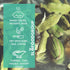 16 Oz. Slofoodgroup Green Cardamom Pods -Natural Cardamom Spice